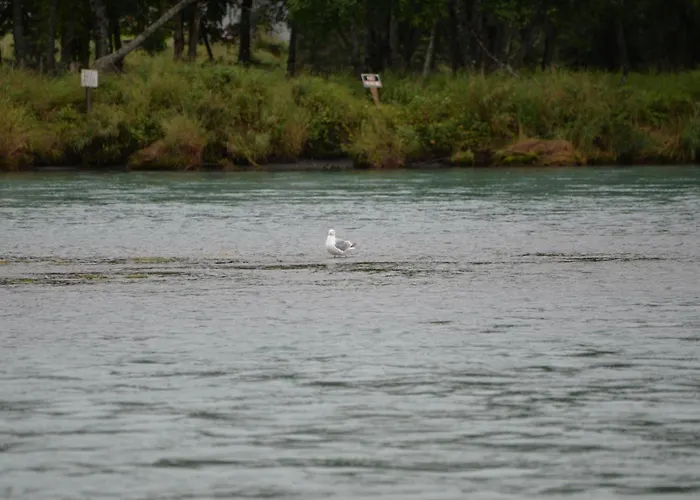 Salmon Catcher Lodge